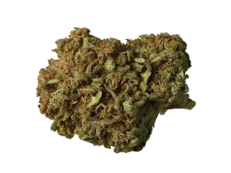 Remexian 27/1 ONO GOS Gorilla Zkittles