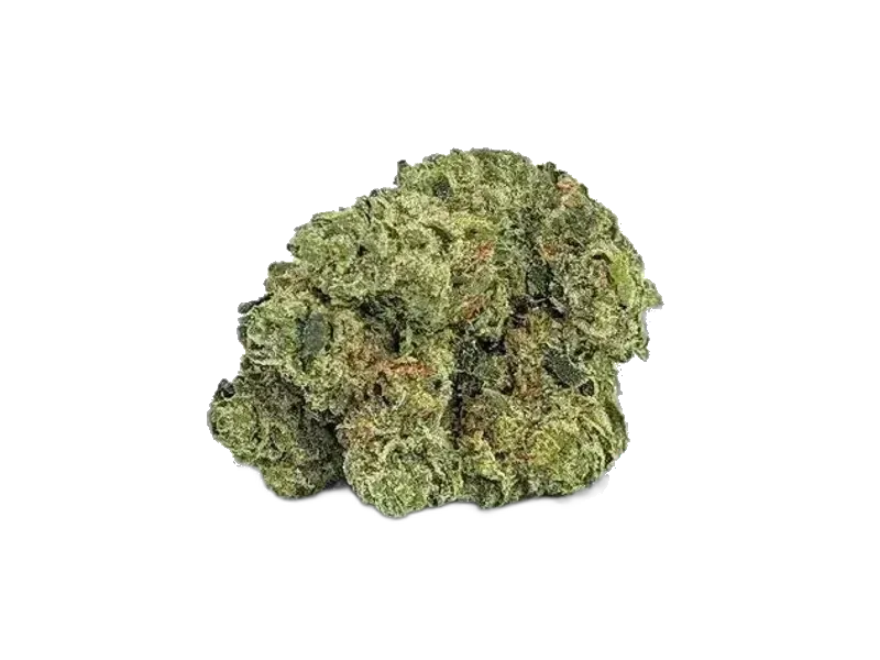 Dank Craft 26 FQ CAN