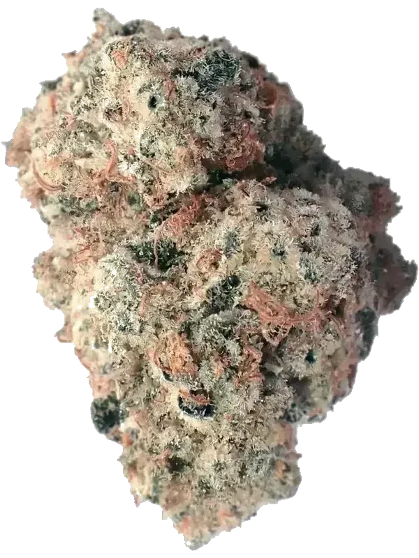 Kush Mountain Craft 33/1 RBP