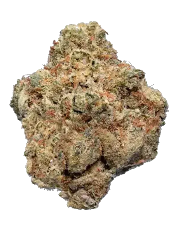 Cookies 2.0 Heavy Eyes 31/1