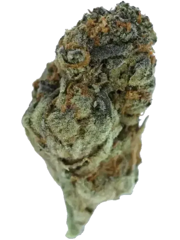 CRQSH SWC 27/1 Strawberry Cheesecake
