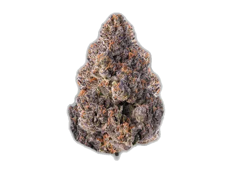 Briah GP 29
