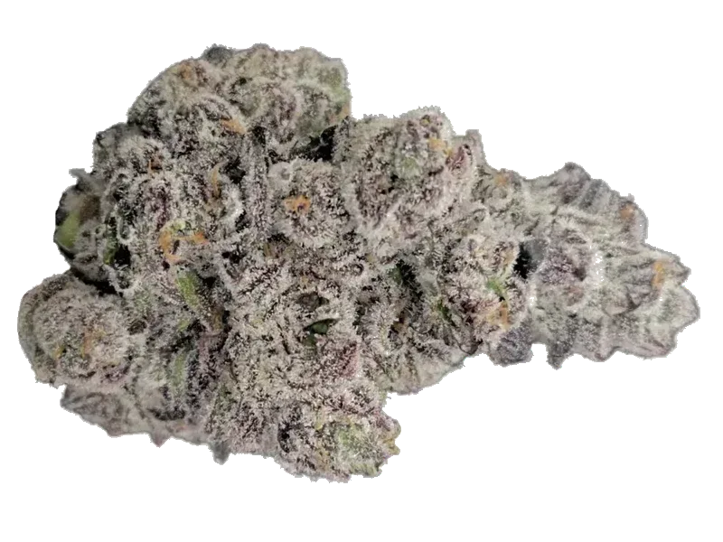 Demecan Craft Electron 31:01 Gelato OG Kush