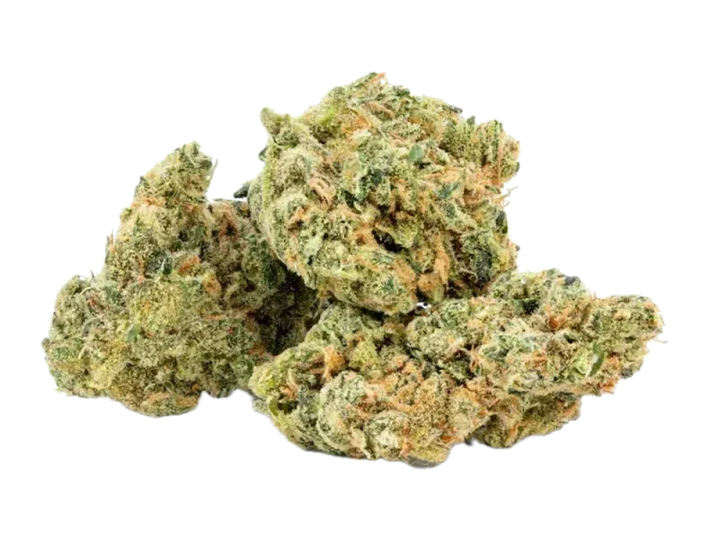 Dank Craft 30 RM CAN