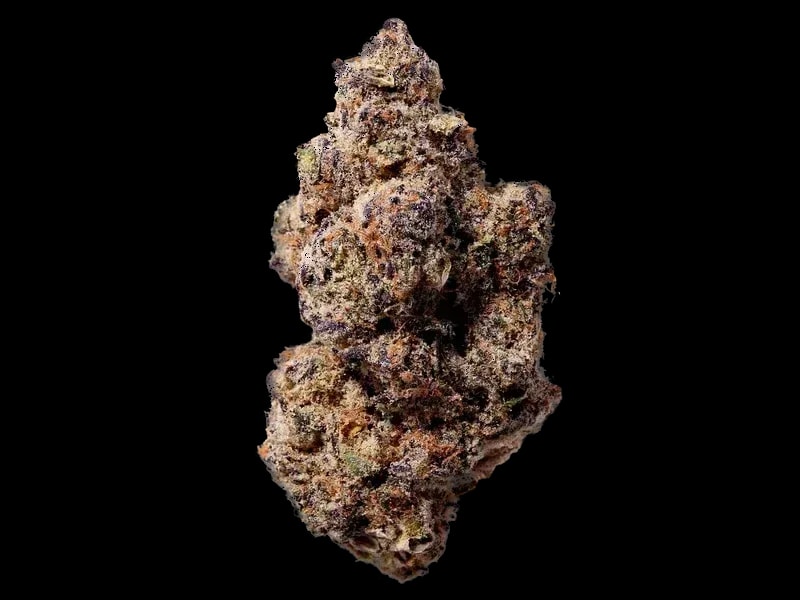 Blüte