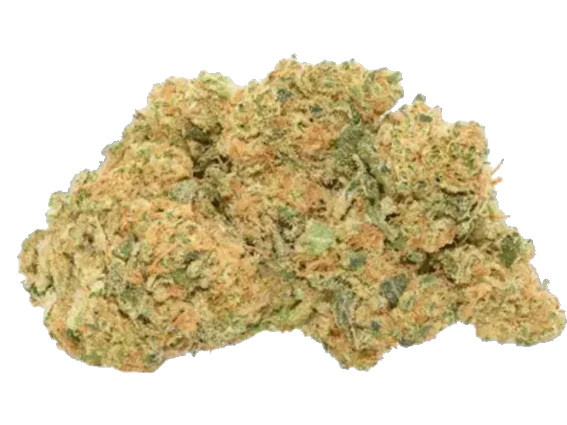 slouu 27/1 AT2 CA OMJ