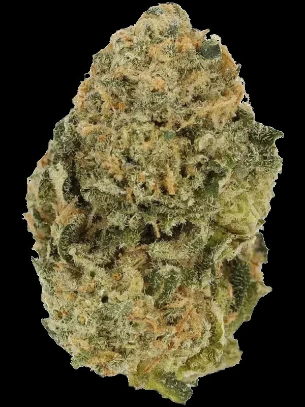 PhCann Exotics 28/1 Spritzer