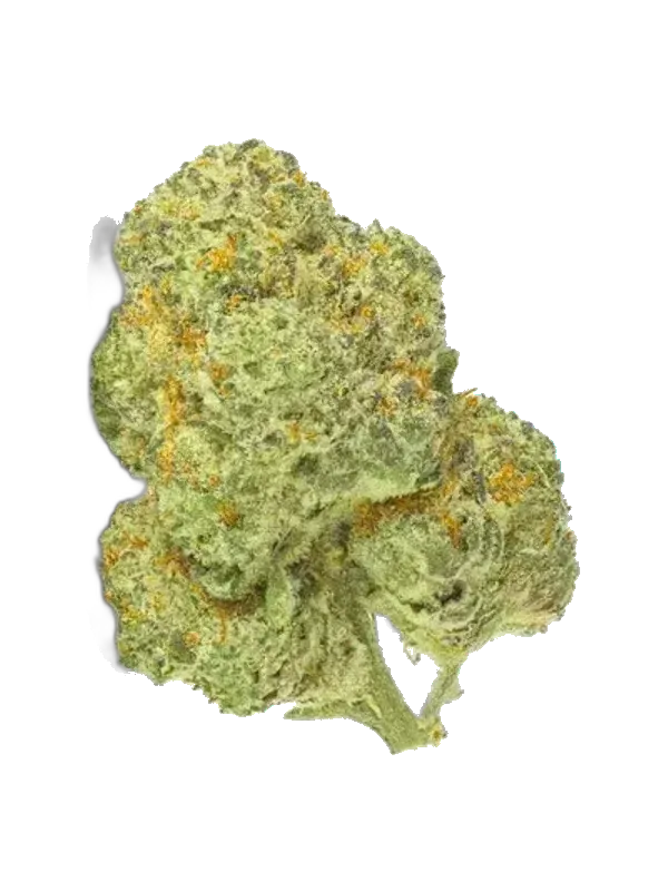Care GDF THC18