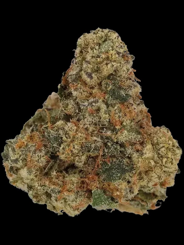 Care CAL THC 23