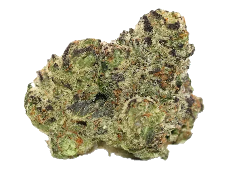 Dank Craft 30 RM CAN