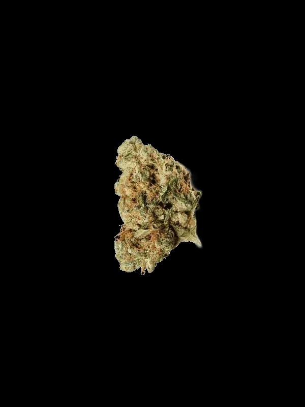 420 Evolution 27/1 CA RZY