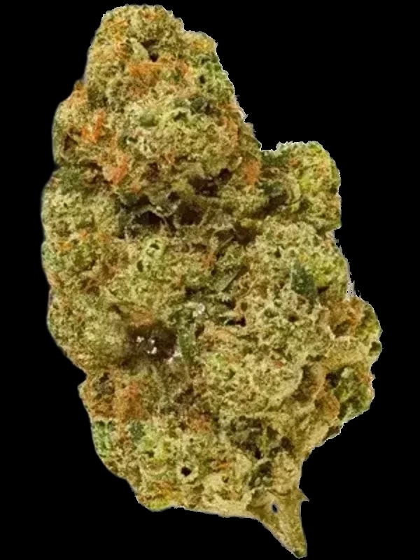 Medical Saints 21/1 VOS
