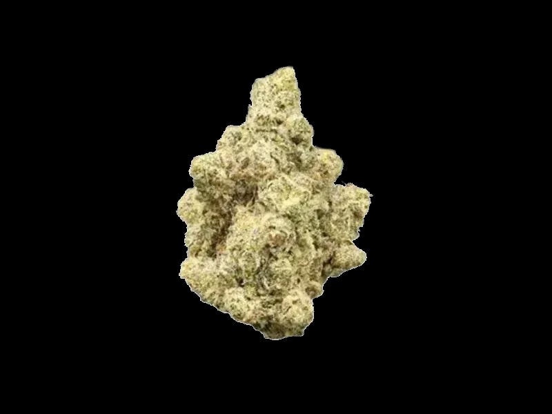 35/1 Natural Buds BBY