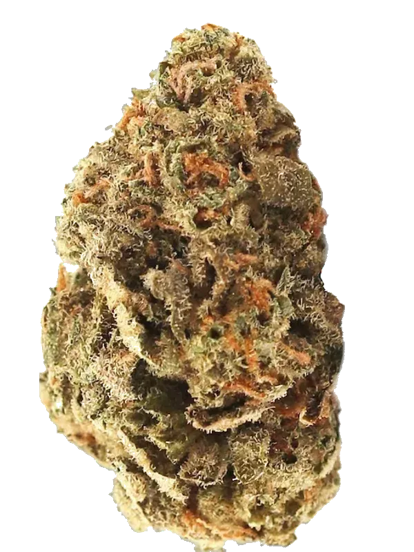 Care GEL THC20