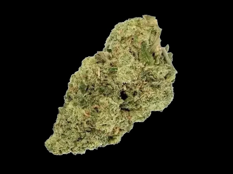 420 Evolution 25/1 FLM CA