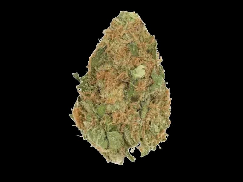 Funky Berry