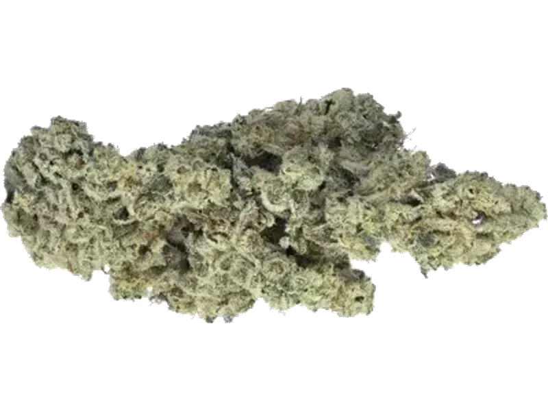 Apex GEP PT 29/1
