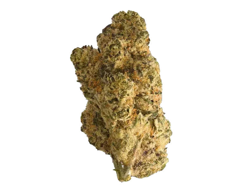 Medriprocan Simba 25/1