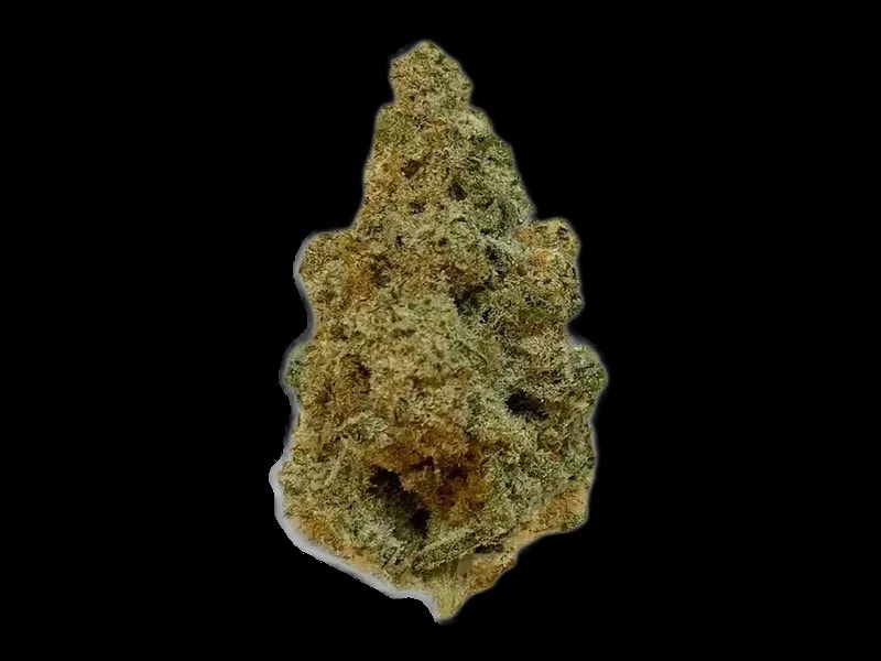 Cannabec Culture 27/1 TOJ