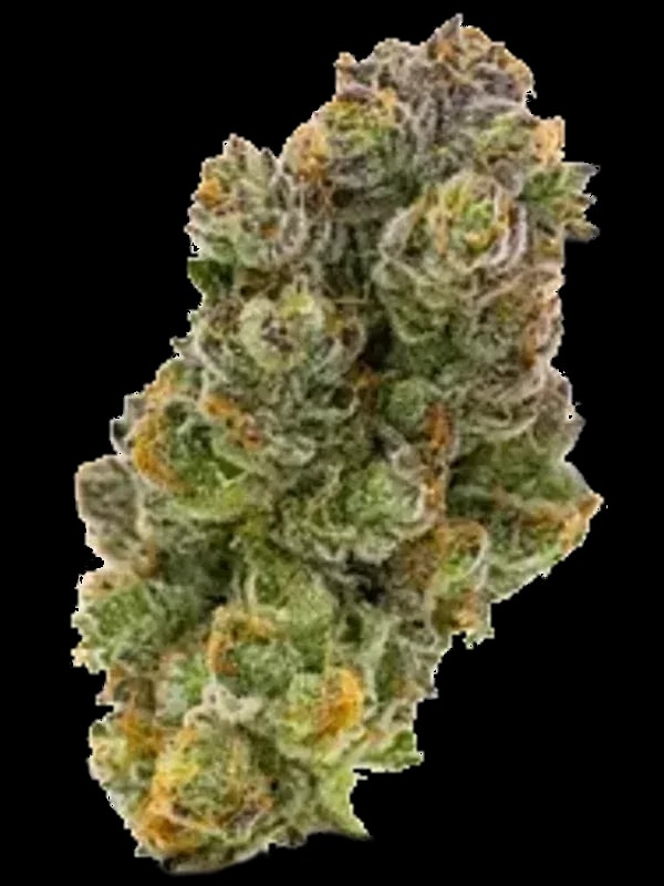 Green Karat MG 28/1