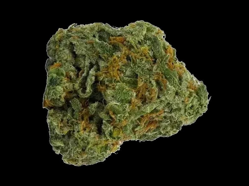 Waffle Truffle