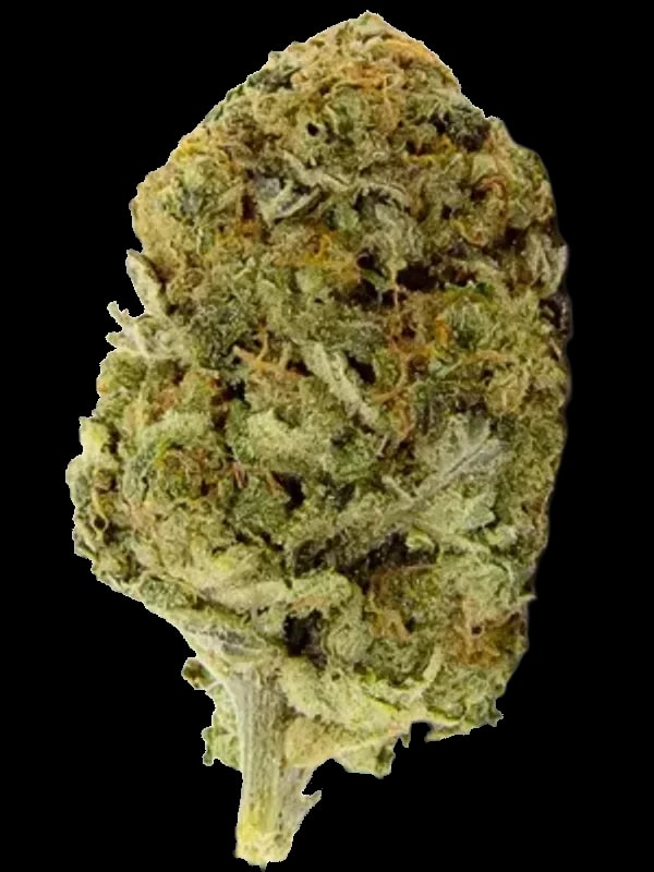 Demecan Core CRC 30:01 Cream Cake