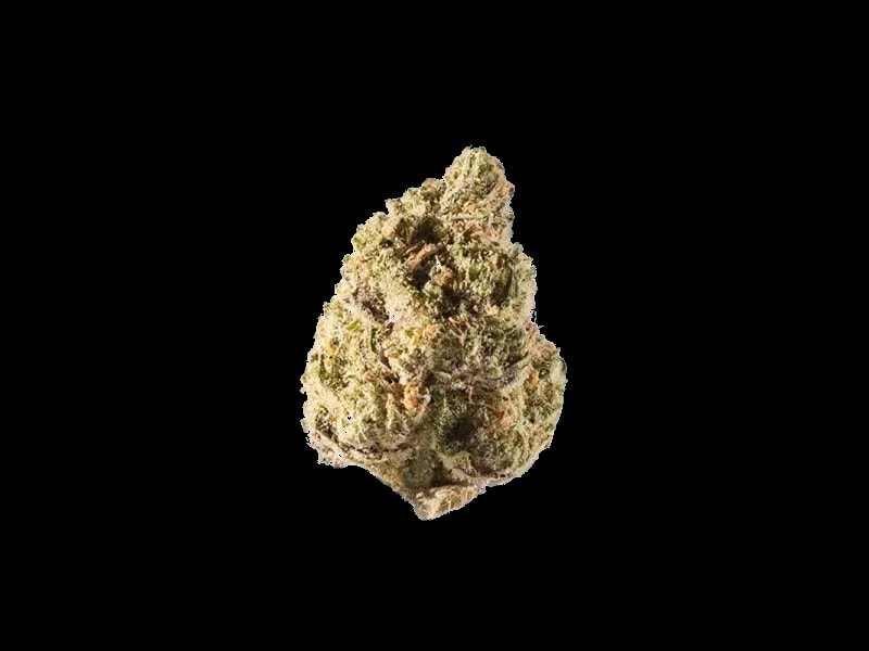 FAAFO Cannabis 27/1 GPO