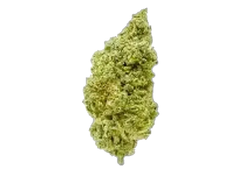 Cannabis flos 14/1 CL Ku. MAC DP