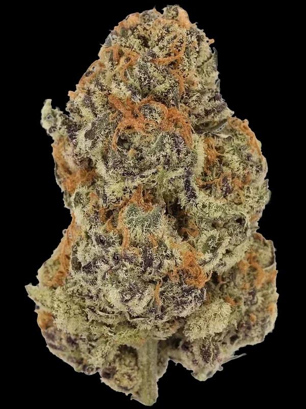 Care PM THC20