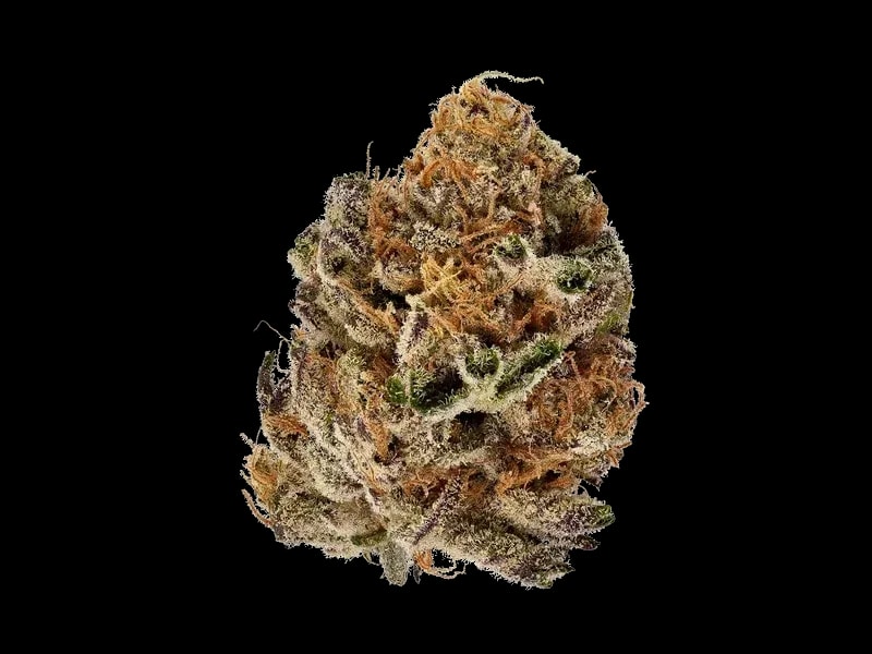 Canopy CME 28/0.5
