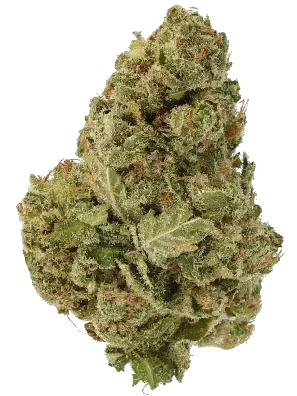 Sibanax GMO Zkittlez 20/1