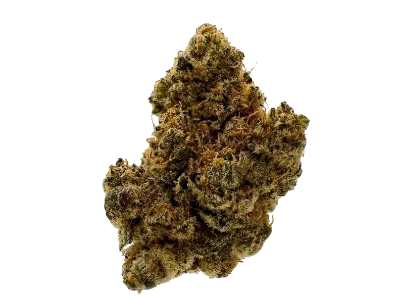HiDealz 24/1 MS Honeydew Haze Smalls