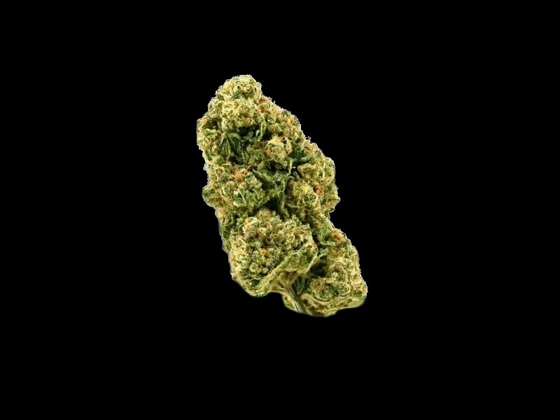 THC AKUT FB 25 KM