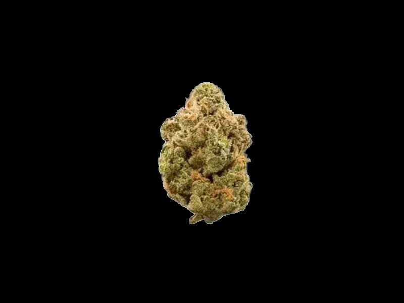 OzSun 26/1 Candy Gas