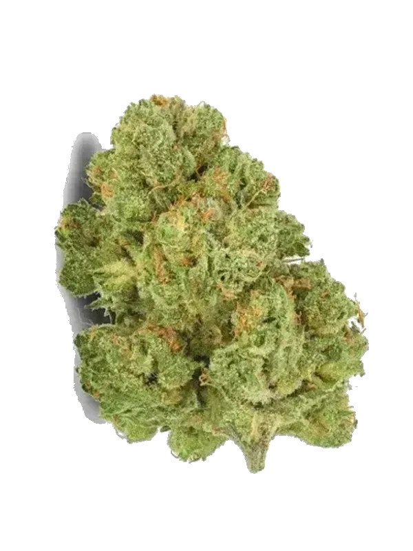 Shrubs 30/1 SRY
