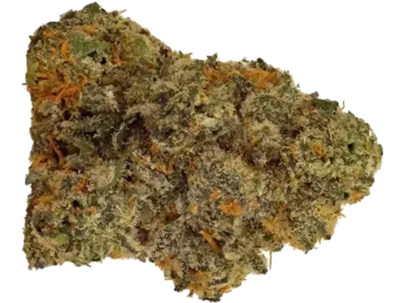AMP KHI PUP THC25