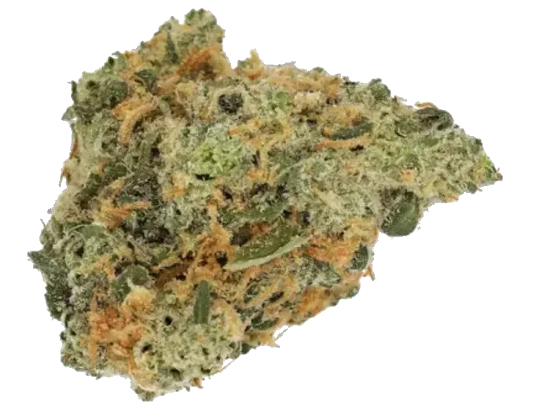 AMP Trichome Acai THC24