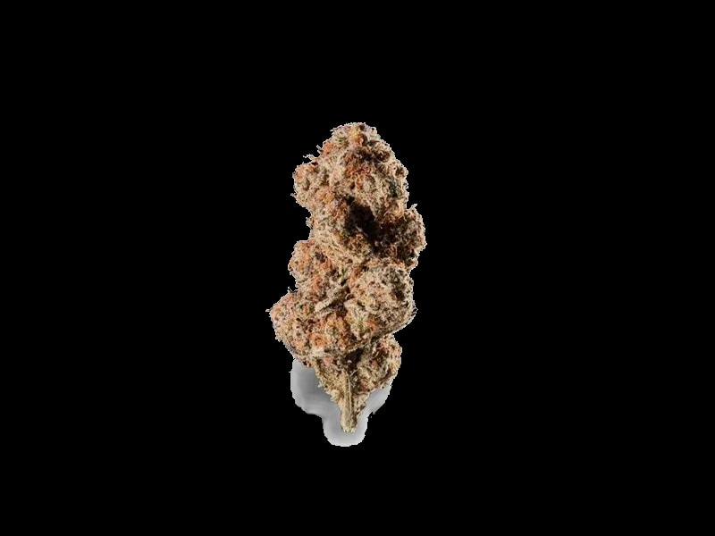Kush Collective 27/1 GDP