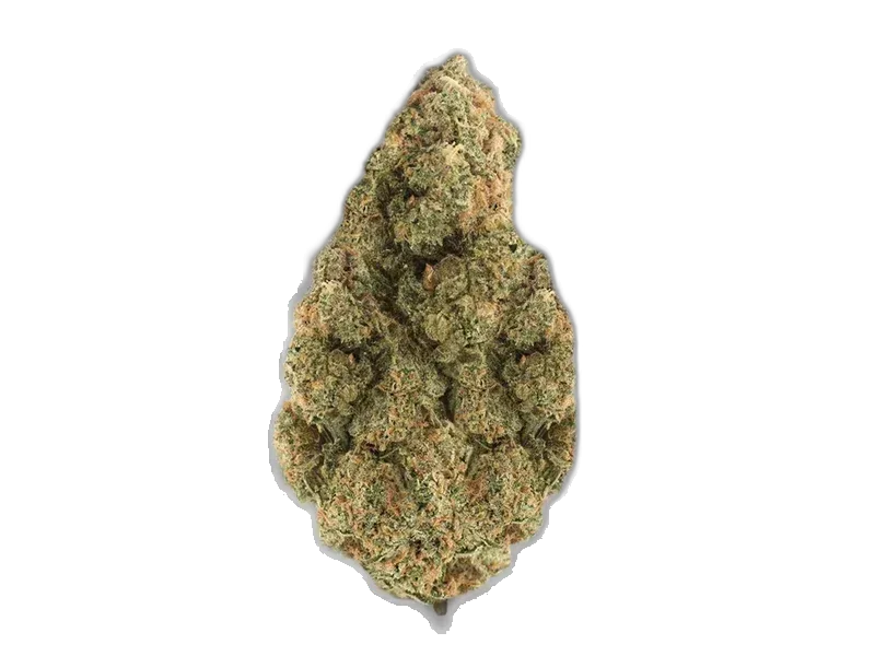 Kush Collective 30/1 LDS