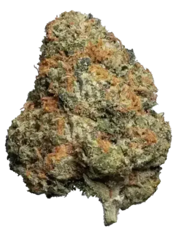 Beacon PK T24