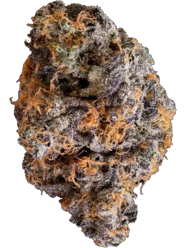 AMP ACT-GM OMG THC27
