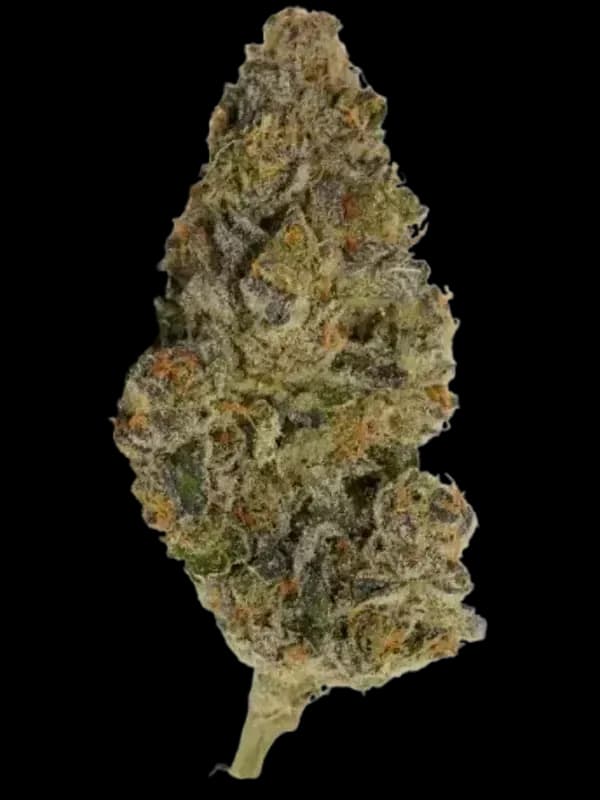 MAC 1 (Miracle Allien Cookies)