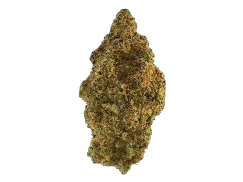 Gripon420 24/1 FLF