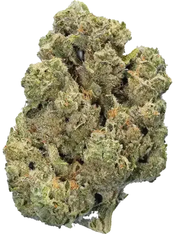 Adrex 26 CKD CAN