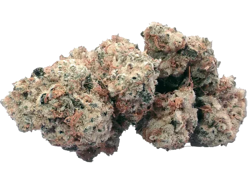 WEECO Tavira 23/1 Sour Punch