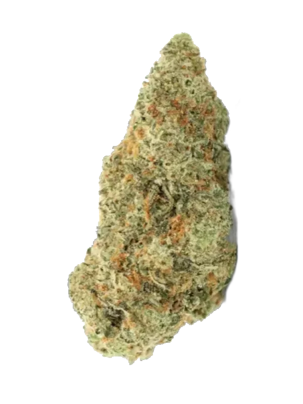 Gripon420 24/1 FLF