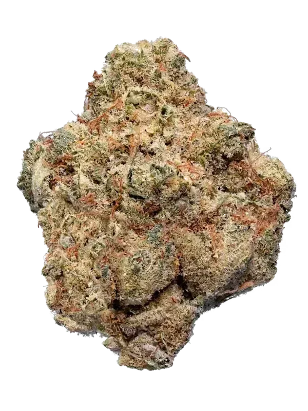 gramz. 003 GLND 27/1