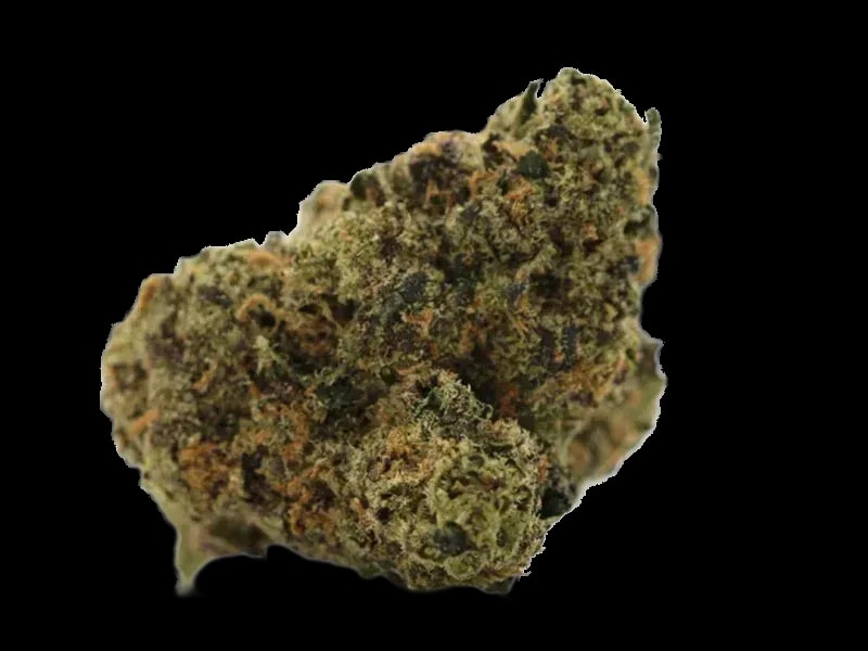 Green Karat MG 25/1