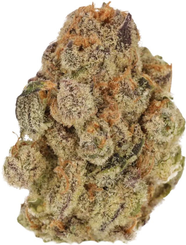 Cannamedical Indica Classic ZAF
