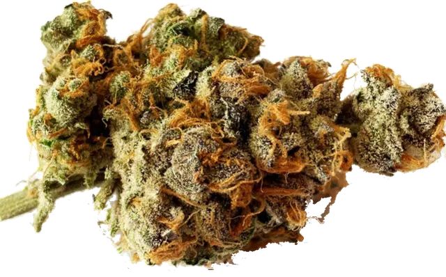 Weeco Duke 20/1 Purple Rain